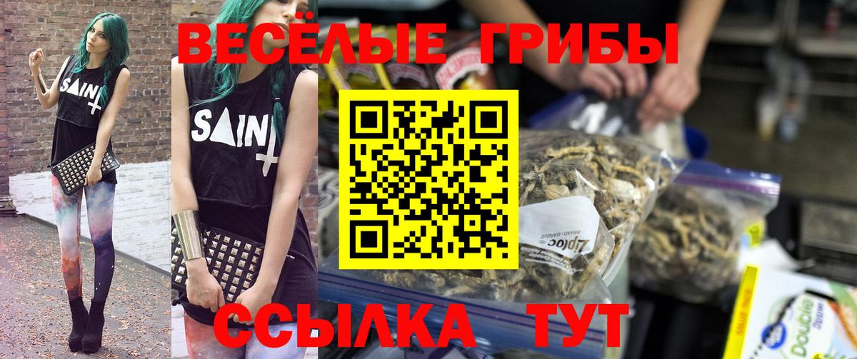 где найти   Галлюциногенные грибы Cubensis  Вход с VPN  Псилоцибиновые грибы MAGIC MUSHROOMS  Черкесск 