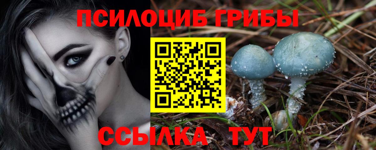 Галлюциногенные грибы ЛСД Черкесск